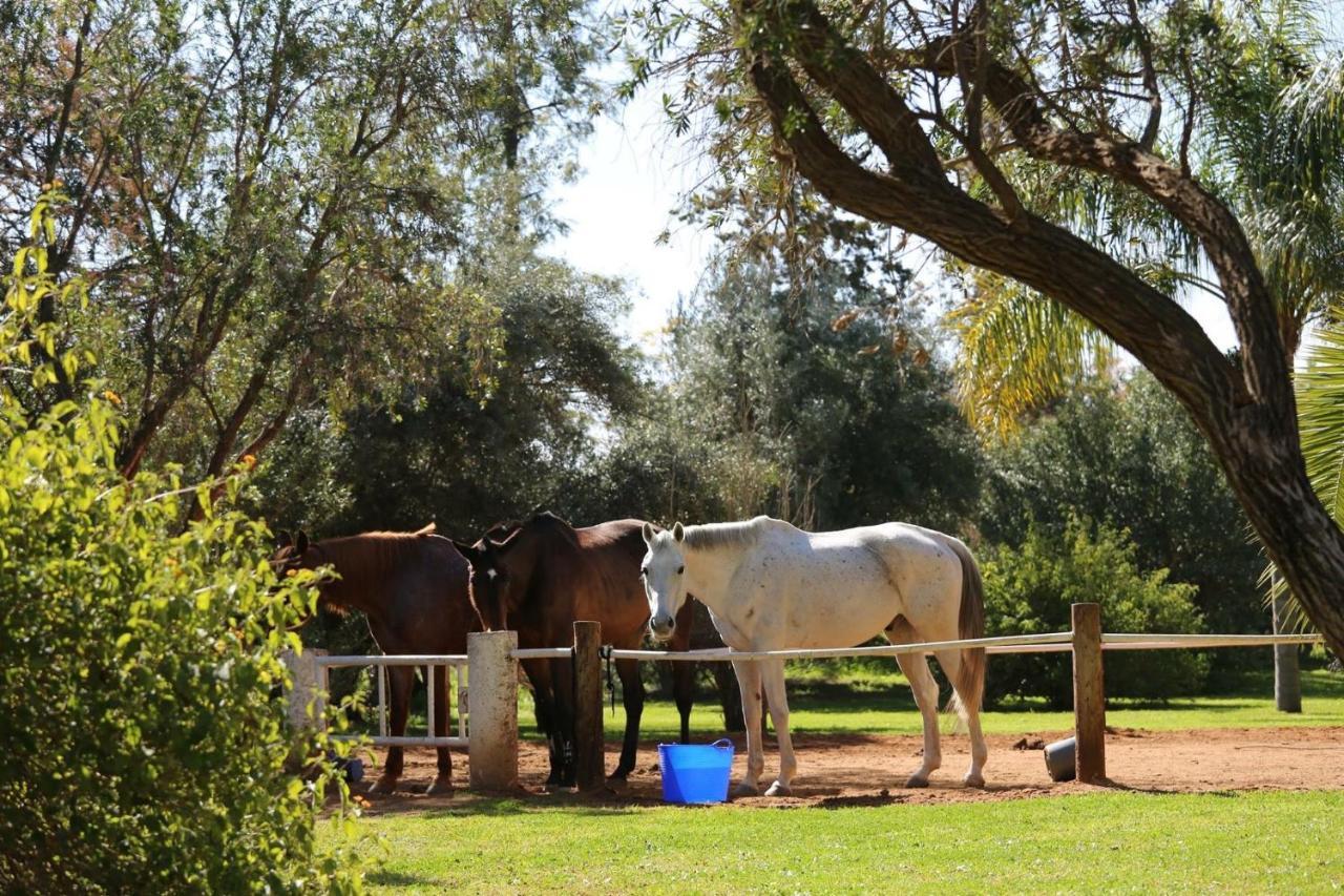 La Vie En Rose - Horses & Dogs House Bed & Breakfast Ait Hamid Bagian luar foto