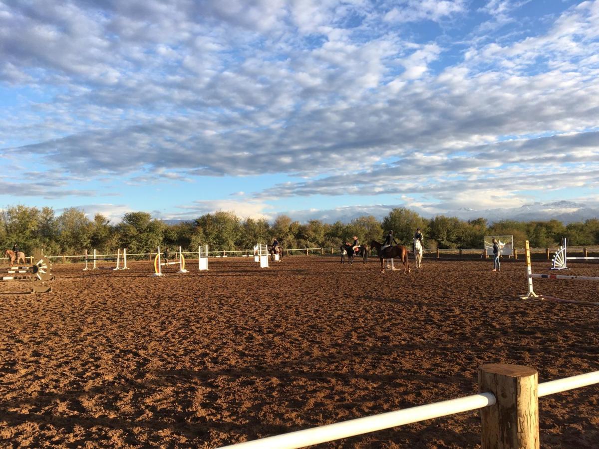La Vie En Rose - Horses & Dogs House Bed & Breakfast Ait Hamid Bagian luar foto