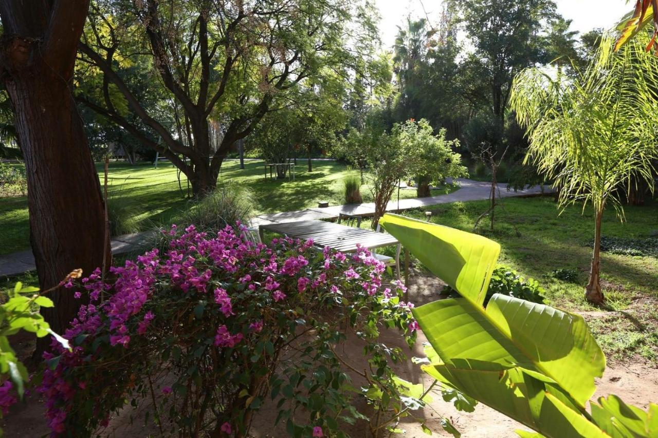 La Vie En Rose - Horses & Dogs House Bed & Breakfast Ait Hamid Bagian luar foto