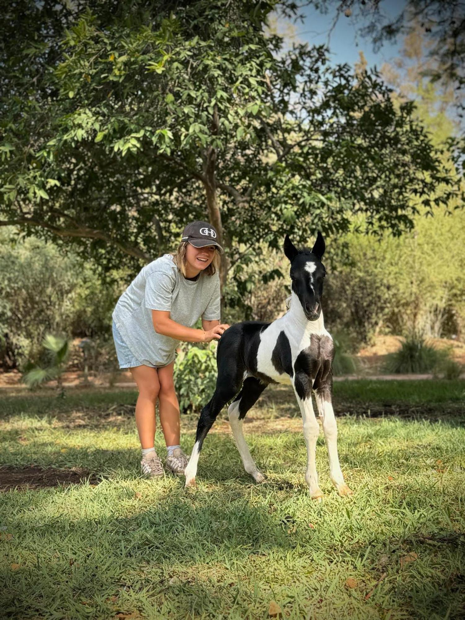 La Vie En Rose - Horses & Dogs House Bed & Breakfast Ait Hamid Bagian luar foto
