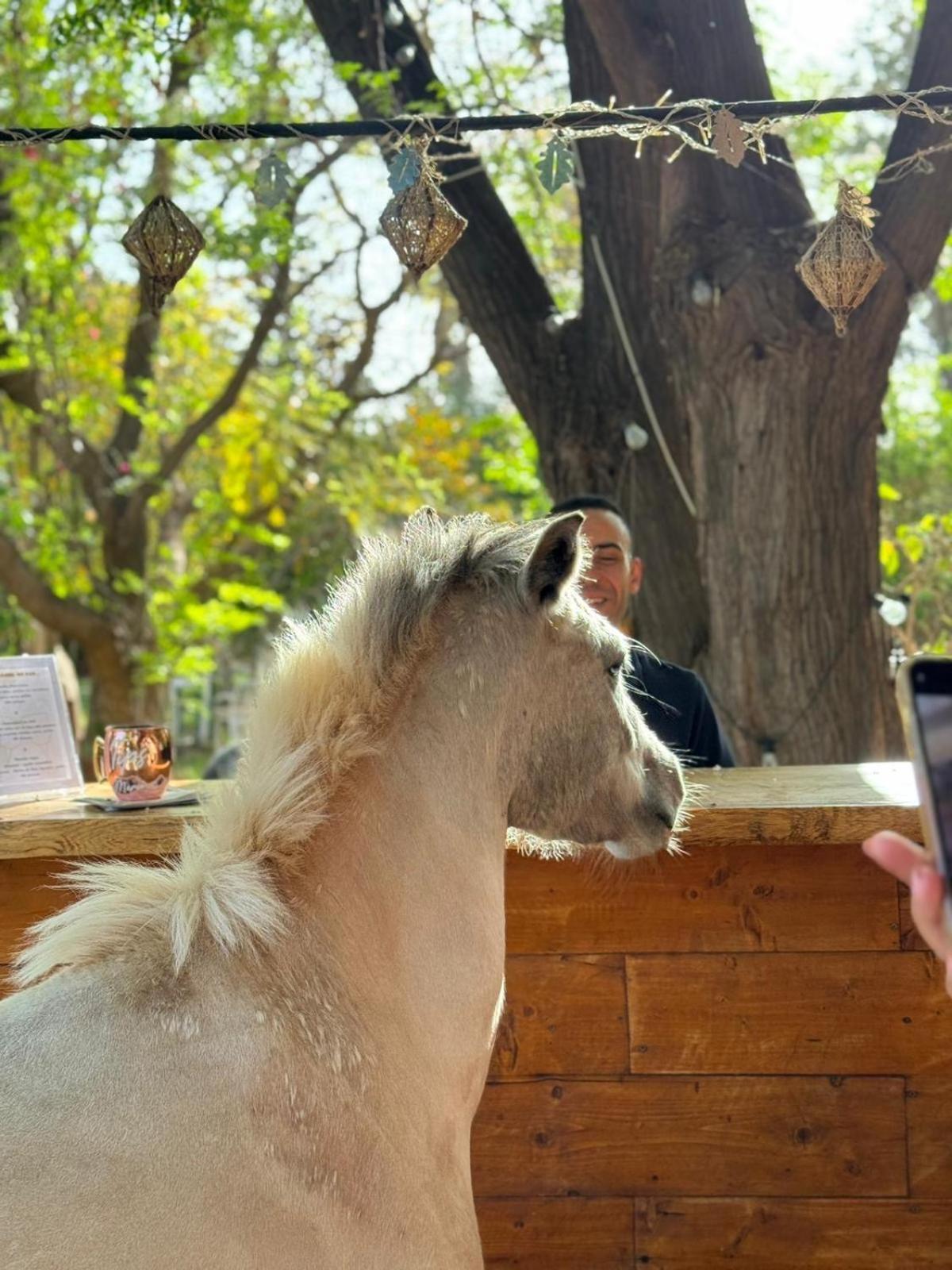La Vie En Rose - Horses & Dogs House Bed & Breakfast Ait Hamid Bagian luar foto