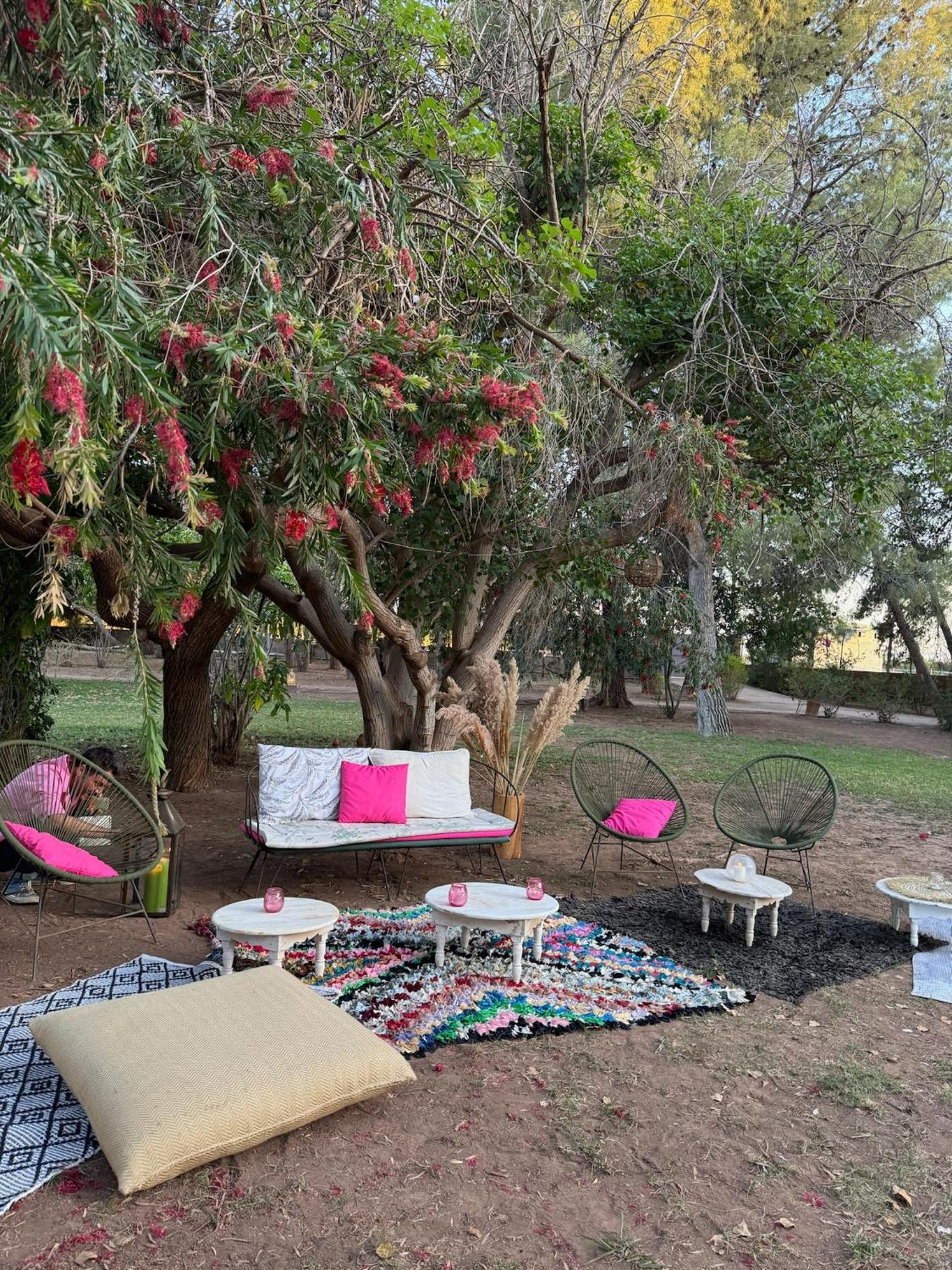 La Vie En Rose - Horses & Dogs House Bed & Breakfast Ait Hamid Bagian luar foto